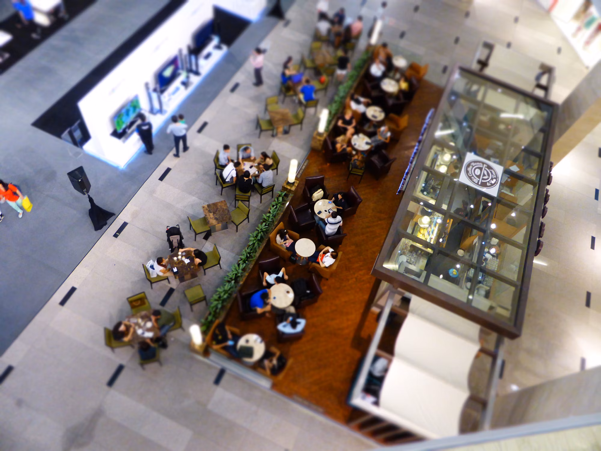A Culinary Odyssey: Discovering the Various Types of Restaurants